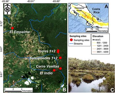 Exploring Dissolved Organic Carbon Variations in a High Elevation Tropical Peatland Ecosystem: Cerro de la Muerte, Costa Rica